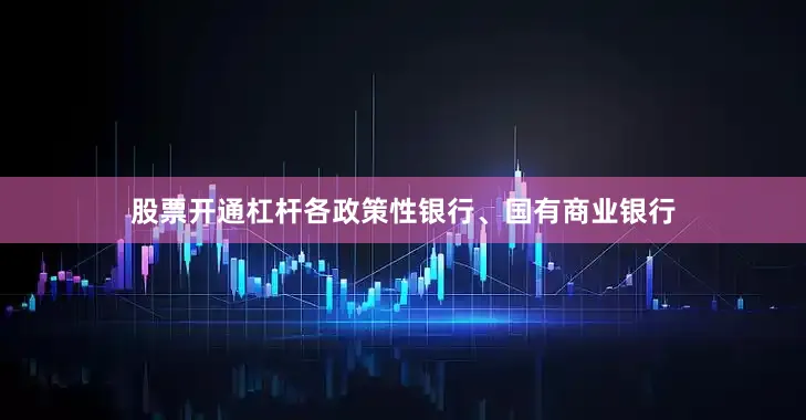 股票开通杠杆各政策性银行、国有商业银行