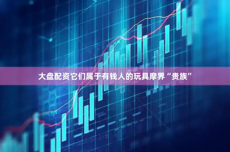 大盘配资它们属于有钱人的玩具摩界“贵族”